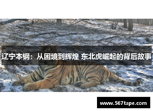 辽宁本钢：从困境到辉煌 东北虎崛起的背后故事